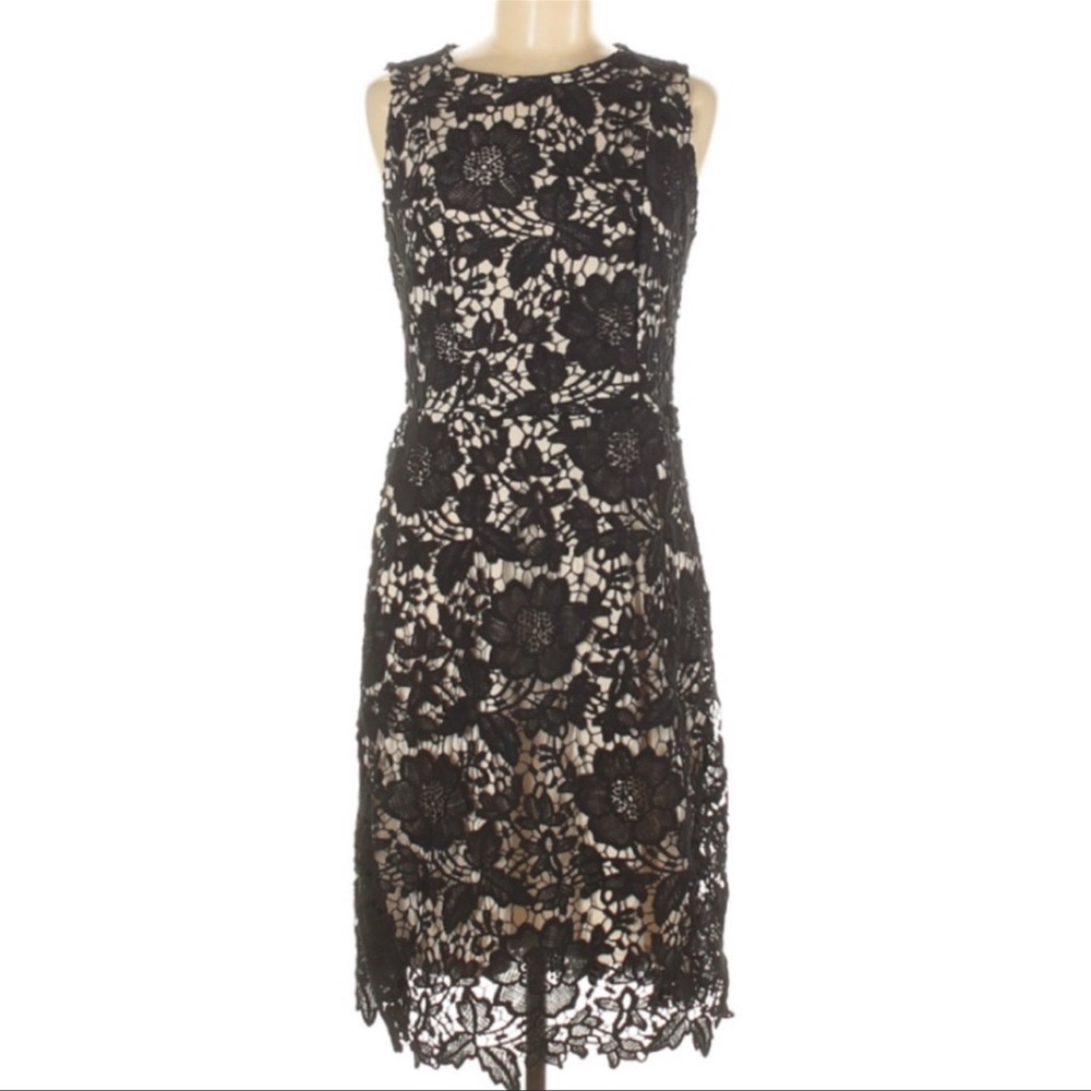 ECI Beige lace appliqué Black Tan LBD classic Med